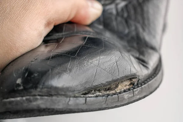 Buty damskie z uszkodzeniami bocznymi z prawdziwej skóry imitującej wzór krokodyla — Zdjęcie stockowe
