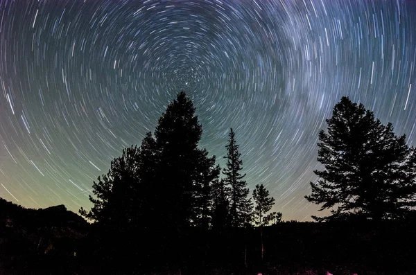 Star trails with trees
