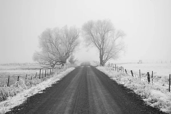 Eerie Back Road — Foto de Stock