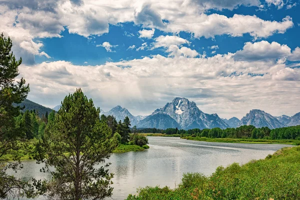 Oxbow Bend Het Voorjaar Stockafbeelding