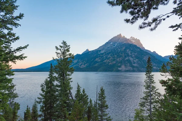 Arbres Montagne Autour Jenny Lake Wyoming Images De Stock Libres De Droits