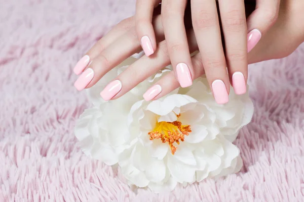 Well-groomed nails nail nail art design. pink and white colors of nail art. Nail polish. Beauty hands. Fashion Stylish Fashion Colorful Nails