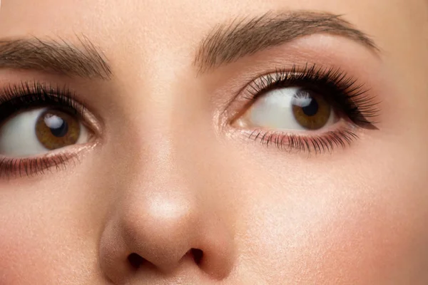 Cosméticos y maquillaje. Hermoso ojo femenino con maquillaje de revestimiento negro sexy. Moda flecha grande para siempre mujer. Gran maquillaje de noche, maquillaje limpio y ojos marrones. Cejas gruesas y pestañas extra largas — Foto de Stock