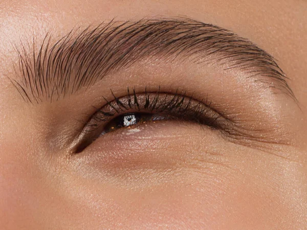 Elegance Close Female Eye Dark Brown Eyeshadow Macro Shot Part — Stock Photo, Image