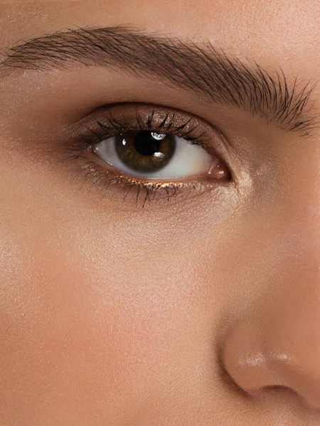 Снимок Женского Глаза Чрезвычайно Длинными Веками Задымленным Макияжем Идеальные Брови — стоковое фото