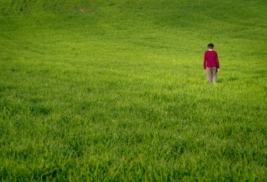 Yeşil buğday sahada çalışan mutlu çocuk