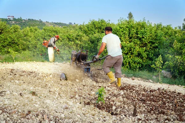 Фермеры, работающие на поле — стоковое фото