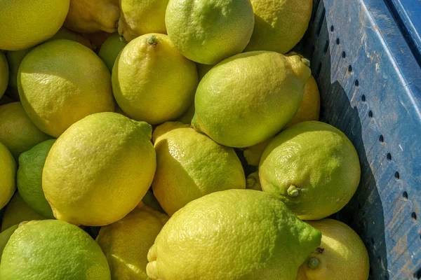 Fruta de limão . — Fotografia de Stock