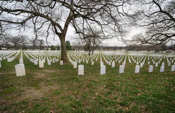 Arlingtonský Hřbitov Washington Ledna 2020 Arlingtonský Národní Hřbitov Ledna 2020 — Stock fotografie
