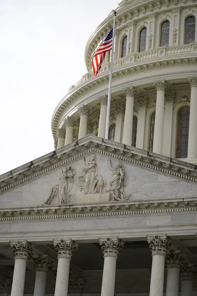 Washington Usa January 2020 United States Capitol Building Washington Government — Stockfoto