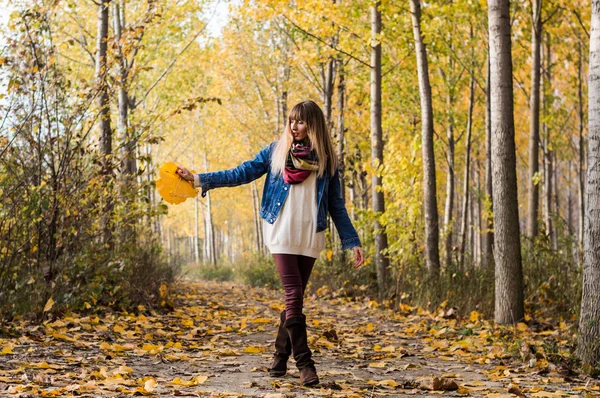 Wandelen door herfstbos — Stockfoto