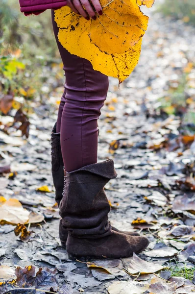 Bruin lederen laarzen en geel blad — Stockfoto
