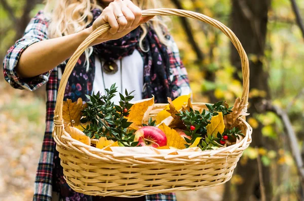 Meisje houdt de mand vol appels — Stockfoto