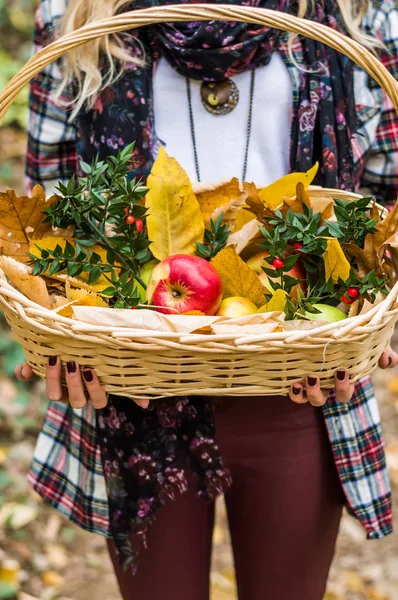 Meisje houdt de mand vol appels — Stockfoto