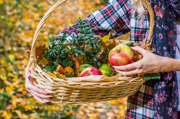 Meisje met apple en de mand — Stockfoto