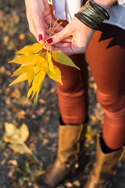 Leaf in handen — Stockfoto