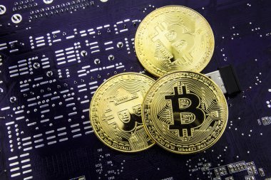Anakart üzerinde Cryptocurrency Bitcoin. Altın sikke. Sanal para.