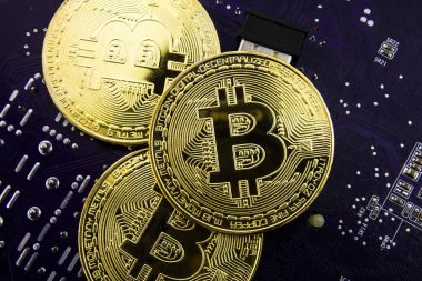 Anakart üzerinde Cryptocurrency Bitcoin. Altın sikke. Sanal para.