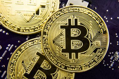 Anakart üzerinde Cryptocurrency Bitcoin. Altın sikke. Sanal para.