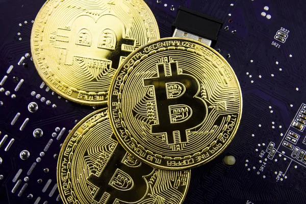 Anakart üzerinde Cryptocurrency Bitcoin. Altın sikke. Sanal para.
