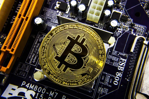 Anakart üzerinde Cryptocurrency Bitcoin. Altın sikke. Sanal para.