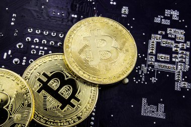 Anakart üzerinde Cryptocurrency Bitcoin. Altın sikke. Sanal para.