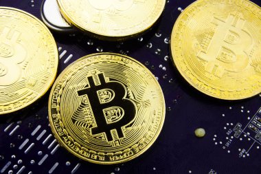 Anakart üzerinde Cryptocurrency Bitcoin. Altın sikke. Sanal para.
