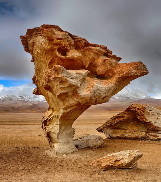 Árbol de Piedra, desierto de Siloli (Bolivia) ) — Foto de Stock