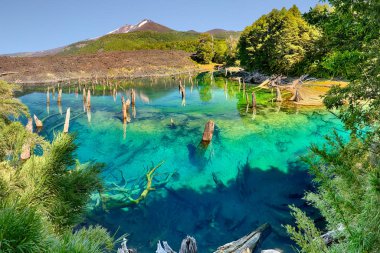 Lago Arcoiris at Conguillio N.P. (Chile)