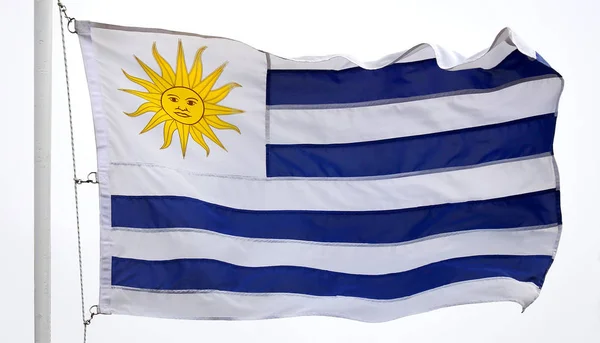 우루과이의 국기 — 스톡 사진