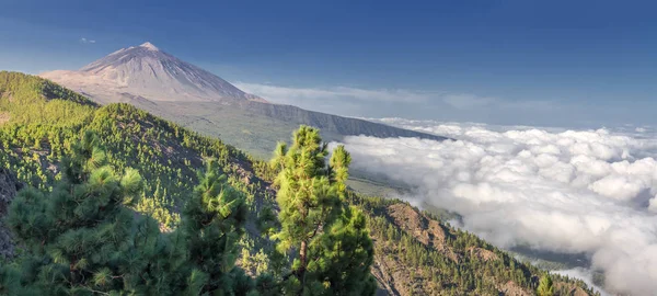 Panorama Wulkan Teide Oraz Dolinę Orotava Widok Mirador Chipeque Teneryfa Obraz Stockowy