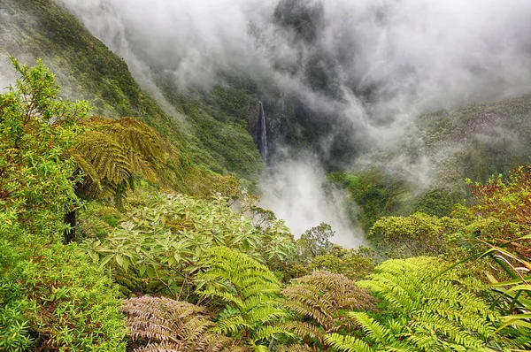 Cascada Del Cañón Trou Fer Isla Reunion —  Fotos de Stock