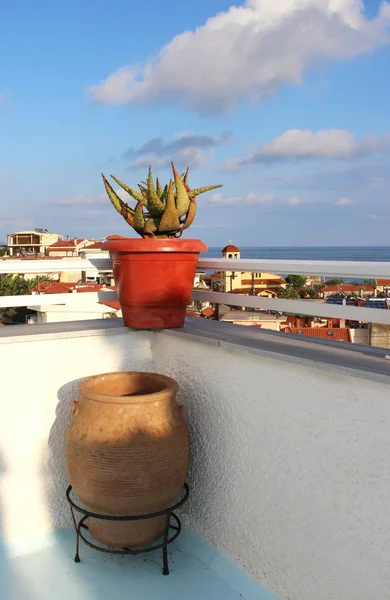 Schöne griechische Terrasse mit Blumen — Stockfoto