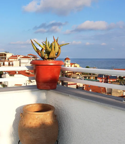 Hermosa terraza griega con flores —  Fotos de Stock