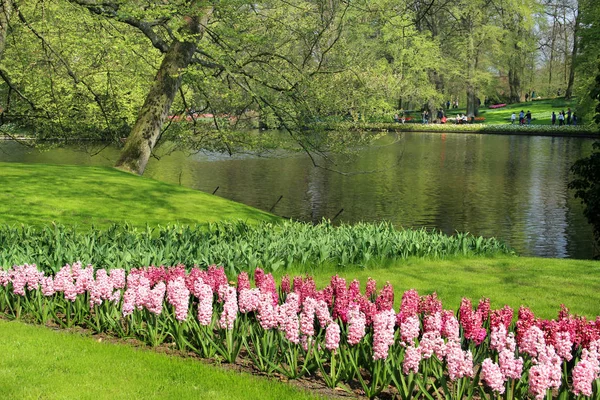 Parque de primavera con muchas flores — Foto de Stock