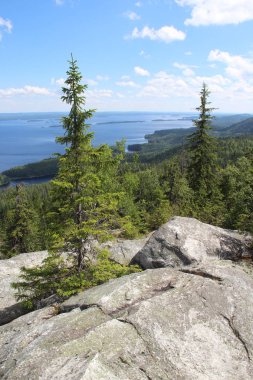 Milli Parkı Koli, Finlandiya