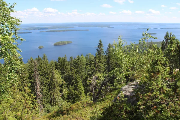 Nationalparken Koli, Finland — Stockfoto