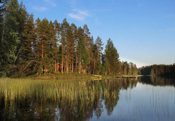 Lake yakınındaki ormanda tipik Fince ev — Stok fotoğraf