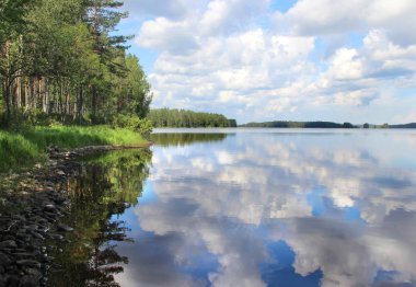 Tipik Fin doğa köknar ormanları yakın göl