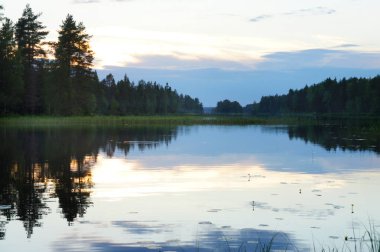 Lake yakınındaki ormanda tipik Fince ev