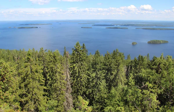 Natuur van nationaal park Koli — Stockfoto