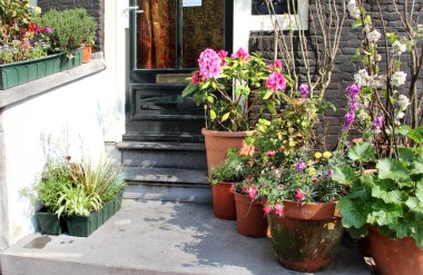 Terasta güzel çiçekler karışımı