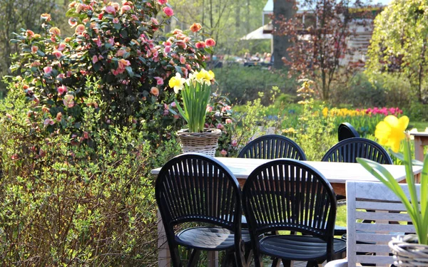 Mezcla de hermosas flores en la terraza — Foto de Stock