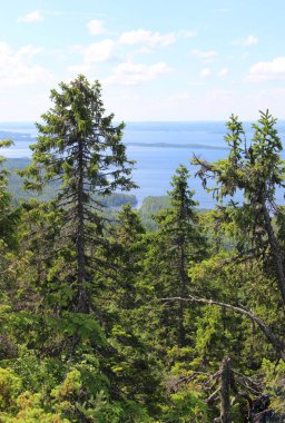 Milli Parkı Koli, Finlandiya