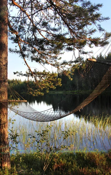 Noites finlandesas brancas, natureza e lago — Fotografia de Stock