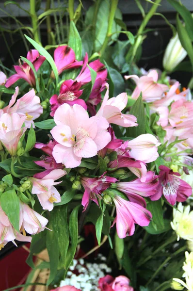 Gran ramo hermoso de flores — Foto de Stock