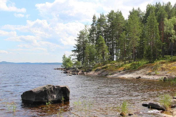 Bosques típicos de abeto de naturaleza finlandesa cerca del lago — Foto de Stock