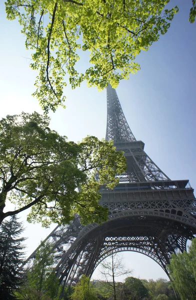 Eiffelturm und Frühlingsbäume, Paris — Stockfoto