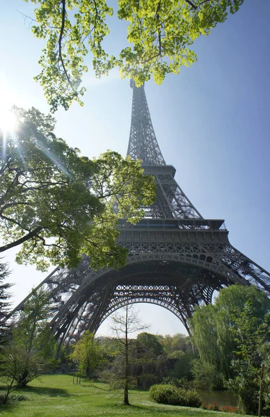 Eiffel tower i wiosną drzewa, Paryż — Zdjęcie stockowe