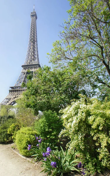 Eiffel tower i wiosną drzewa, Paryż — Zdjęcie stockowe